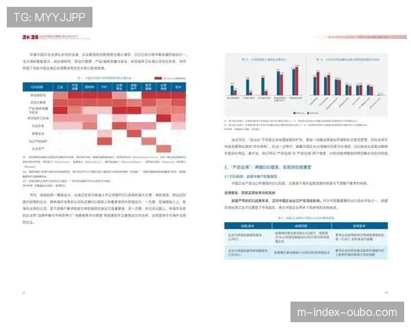 体育赛事ESG投资指南逐步明确 引导资本投向更具社会价值项目